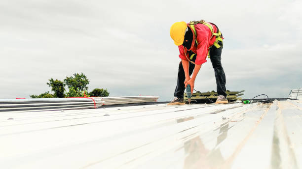 Best Emergency Roof Repair Services  in Oracle, AZ